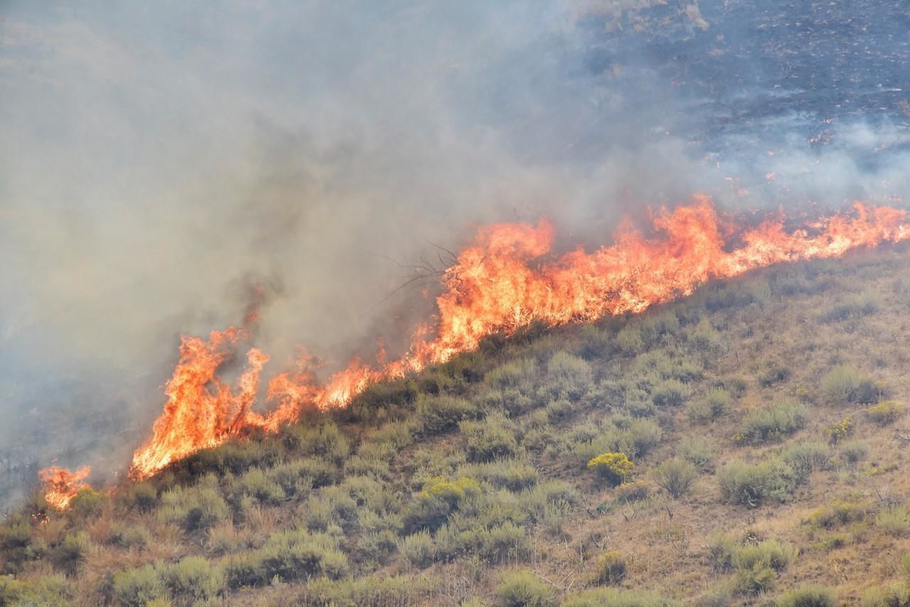 Badger Fire